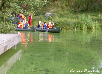 Eutrophication – severe algae blooms around 2004-2007. Agriculture being main source of phosphorus in fresh water