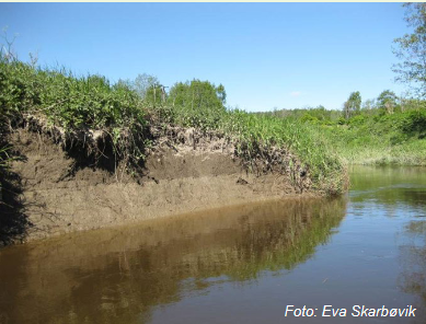 Riverbank erosion – additional P source; river flows through marine clay deposits, naturally rich in apatite – a phosphorus-rich mineral.