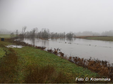 Floods of varying magnitude occur frequently, typically during snow melt and autumn rainstorms.