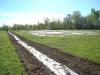 View of the restored meadow, ADASEA 32