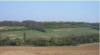 Agricultural land impacted by soil erosion